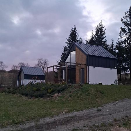 Maraska Holiday House Kamienna Gora Kültér fotó
