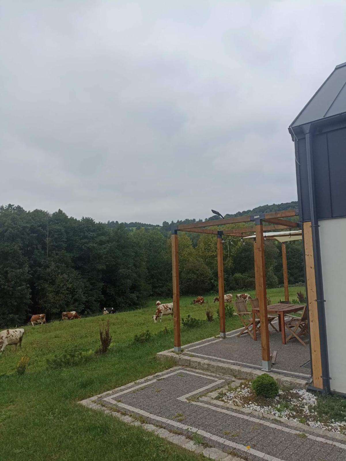 Maraska Holiday House Kamienna Gora Kültér fotó